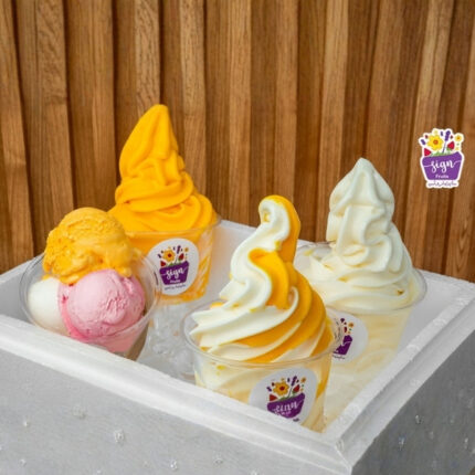 Ice cream box (4 types)